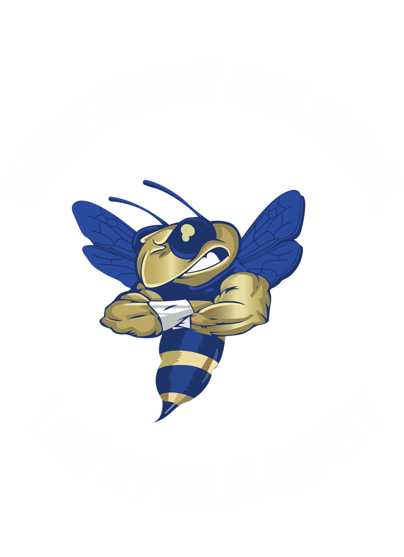 Wayne County High School logo